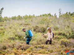 El Ayuntamiento de Roquetas de Mar continúa con la lucha contra los mosquitos en la Ribera de La Algaida El Ayuntamiento de Roquetas de Mar continúa con la lucha contra los mosquitos en la Ribera de La Algaida