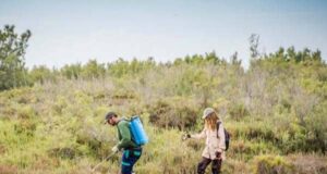 El Ayuntamiento de Roquetas de Mar continúa con la lucha contra los mosquitos en la Ribera de La Algaida El Ayuntamiento de Roquetas de Mar continúa con la lucha contra los mosquitos en la Ribera de La Algaida