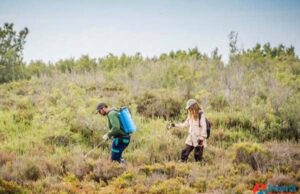El Ayuntamiento de Roquetas de Mar continúa con la lucha contra los mosquitos en la Ribera de La Algaida El Ayuntamiento de Roquetas de Mar continúa con la lucha contra los mosquitos en la Ribera de La Algaida