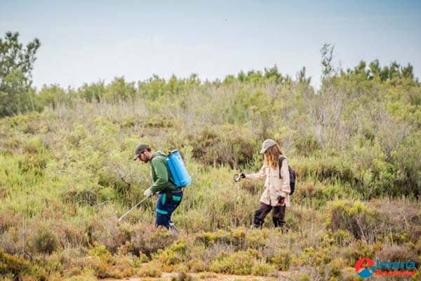 El Ayuntamiento de Roquetas de Mar continúa con la lucha contra los mosquitos en la Ribera de La Algaida El Ayuntamiento de Roquetas de Mar continúa con la lucha contra los mosquitos en la Ribera de La Algaida