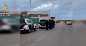 En el poniente de Almería, la Guardia Civil lleva a cabo una acción operativa para combatir el cultivo de marihuana La Guardia Civil desarrolla una operación contra el cultivo de marihuana en el poniente almeriense