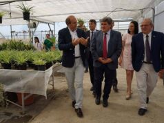 En su visita al municipio, el ministro José Luis Escrivá elogia las políticas de inclusión de Vícar En su visita al municipio, el ministro José Luis Escrivá elogia las políticas de inclusión de Vícar