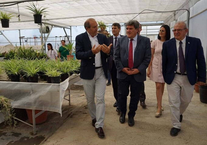 En su visita al municipio, el ministro José Luis Escrivá elogia las políticas de inclusión de Vícar En su visita al municipio, el ministro José Luis Escrivá elogia las políticas de inclusión de Vícar