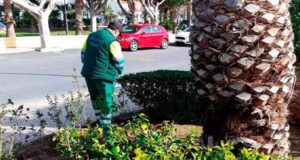 Gracias al Plan Savia 2022-2023, Vícar Continúa Ampliando Sus Zonas Verdes Gracias al Plan Savia 2022-2023, Vícar Continúa Ampliando Sus Zonas Verdes