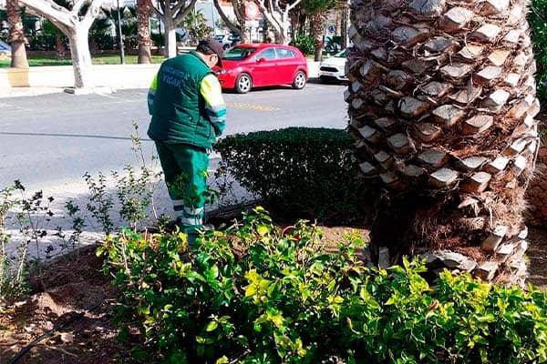 Gracias al Plan Savia 2022-2023, Vícar Continúa Ampliando Sus Zonas Verdes Gracias al Plan Savia 2022-2023, Vícar Continúa Ampliando Sus Zonas Verdes