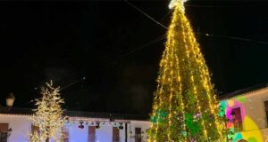 El musical «Magical» marcó el inicio oficial de la Navidad de Berja