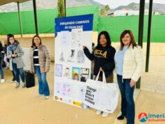 En Dalías los centros educativos han celebrado hoy el Día de la Constitución