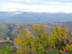 Alcaldías de Murtas y Vícar consolidan vínculo mediante ruta de senderismo en El Cerrajón