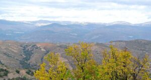Alcaldías de Murtas y Vícar consolidan vínculo mediante ruta de senderismo en El Cerrajón