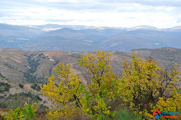 Alcaldías de Murtas y Vícar consolidan vínculo mediante ruta de senderismo en El Cerrajón
