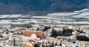 Dalías supera el corte eléctrico sin sucesos reseñables Dalías capea con éxito el apagón eléctrico sin incidentes.
