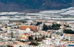 Dalías supera el corte eléctrico sin sucesos reseñables Dalías capea con éxito el apagón eléctrico sin incidentes.