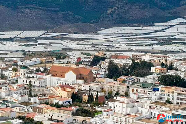 Dalías supera el corte eléctrico sin sucesos reseñables Dalías capea con éxito el apagón eléctrico sin incidentes.