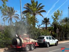 Refuerzan medidas de control de plagas con el inicio de la primavera