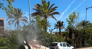 Refuerzan medidas de control de plagas con el inicio de la primavera