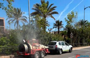 Refuerzan medidas de control de plagas con el inicio de la primavera