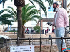 Asignado el contrato para los servicios de control de plagas en Almería Asignado el contrato para los servicios de control de plagas en Almería