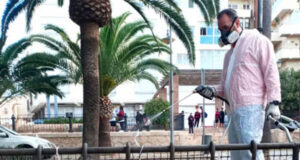Asignado el contrato para los servicios de control de plagas en Almería Asignado el contrato para los servicios de control de plagas en Almería