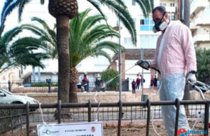 Asignado el contrato para los servicios de control de plagas en Almería Asignado el contrato para los servicios de control de plagas en Almería