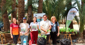 Taller de etnobotánica en el Palmeral, instruye a estudiantes de Vera sobre características y aplicaciones de las plantas Estudiantes de Vera exploran los secretos de las plantas en un taller etnobotánico en el Palmeral